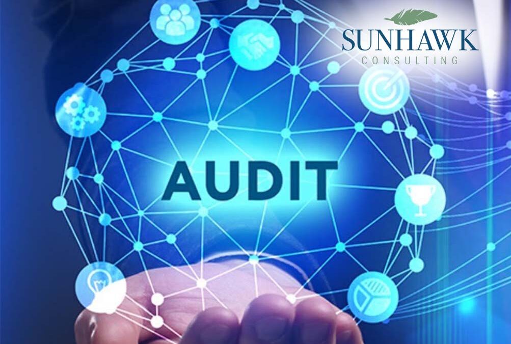 Audit Skills 2.0: Developing an Audit Engagement Scope and Approach