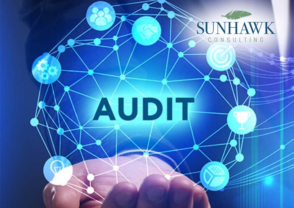 audit skills, audit engagement scope, audit approach