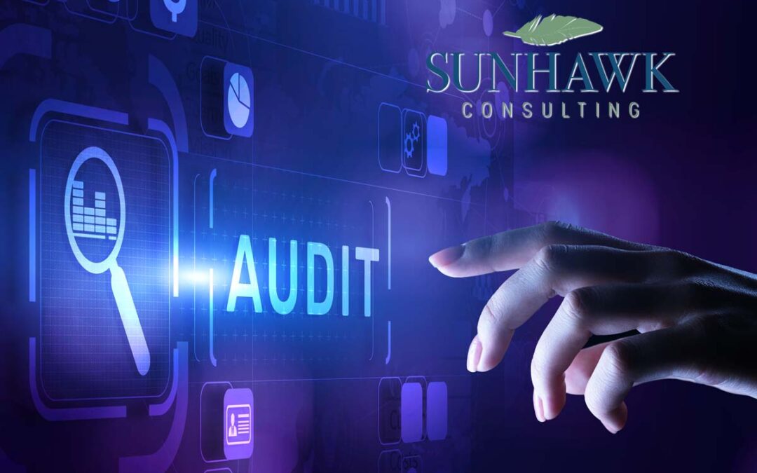 Developing an Audit Engagement Scope and Approach – Transaction and Control Testing